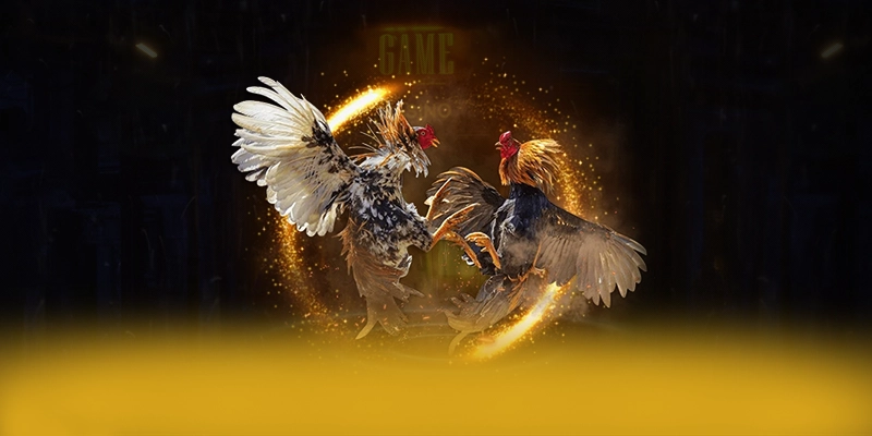 CONGA6789 - Sảnh game được cộng đồng tin tưởng 2025 – Cùng tìm hiểu CONGA6789