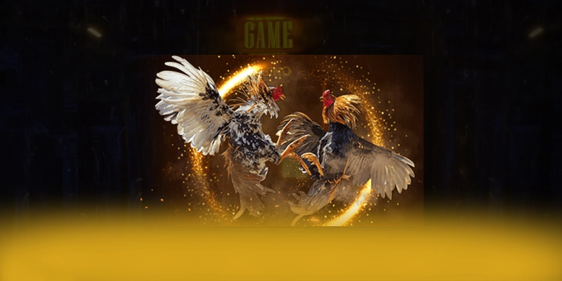 
Tìm hiểu LC88 - Cổng cá cược có thưởng lớn cho người chơi
