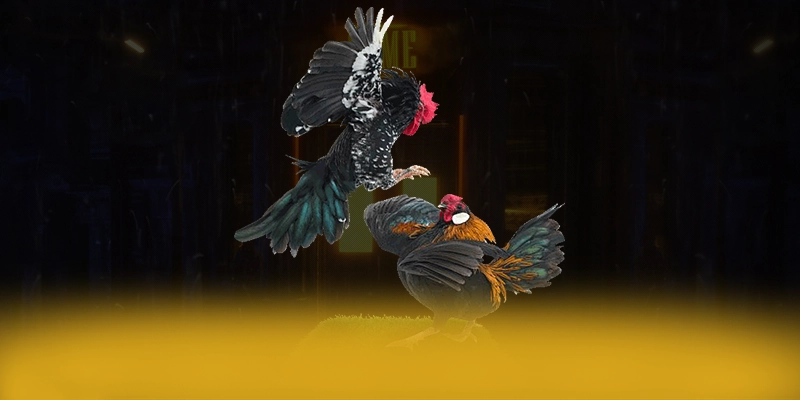 LC88 - Nhà cái được đánh giá cao về chất lượng tại Việt Nam – Tìm hiểu thêm về các sản phẩm của LC88