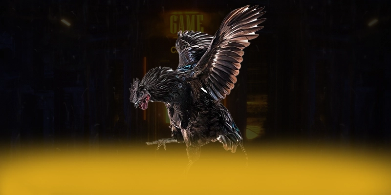 CONGA6789 - Sân chơi đang được quan tâm hàng đầu đang làm mưa làm gió trên thị trường – Trải nghiệm siêu phẩm độc quyền tại CONGA6789