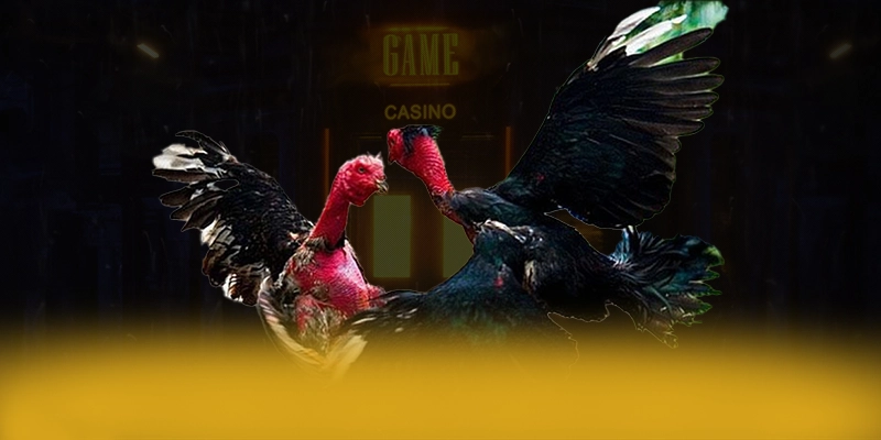 DAGA88 - Hệ thống trò chơi trực tuyến mang đến thế giới game đa dạng trong cộng đồng game thủ – Khám phá danh mục giải trí của DAGA88