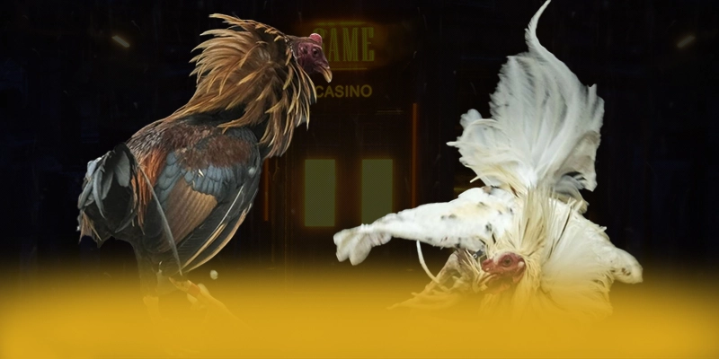 KUWIN - Nhà cái an toàn 2025 – Tìm hiểu về độ tin cậy và bảo mật tại KUWIN