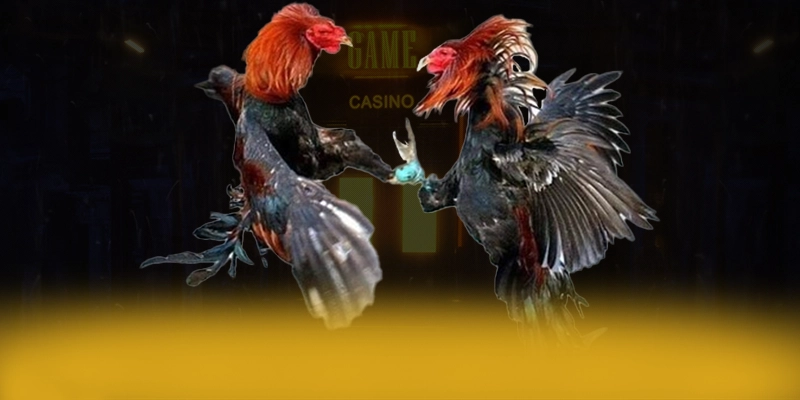 DAGA88 – Cổng trò chơi có thưởng lớn, được người chơi yêu thích.