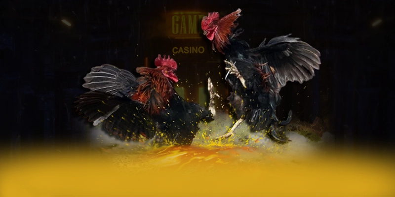 789WIN - Trang game được game thủ yêu thích tại Việt Nam – Khám phá thế giới giải trí tại 789WIN