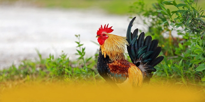 WIN79 - Lời kết từ trải nghiệm thực tế.