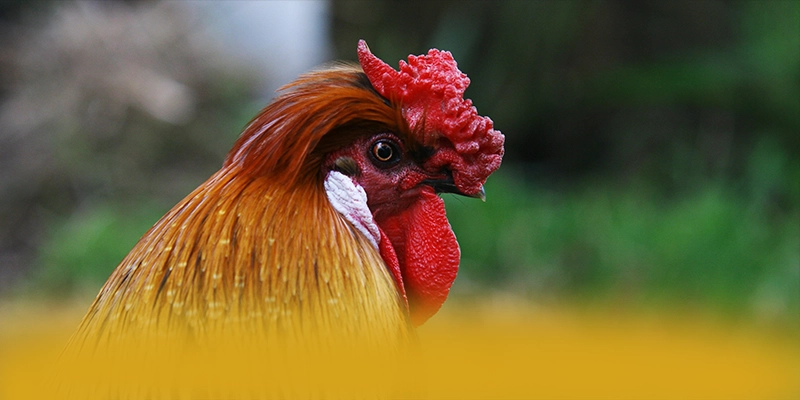 GEM88 - Cổng giải trí đạt chuẩn quốc tế được giới chuyên môn đánh giá cao – Khám phá sự an toàn và minh bạch tại GEM88