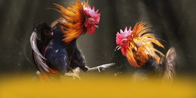 GO8 – Sảnh game chất lượng, đang làm mưa làm gió trên thị trường.