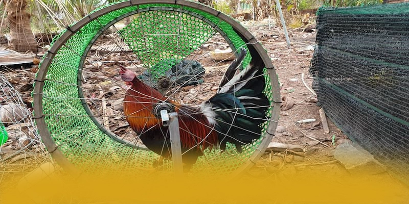 SUNWIN – Cổng trò chơi uy tín số 1, được người chơi yêu thích.