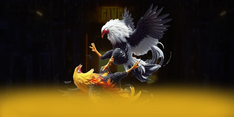 NK88 - Sảnh game phổ biến hàng đầu được quan tâm hàng đầu