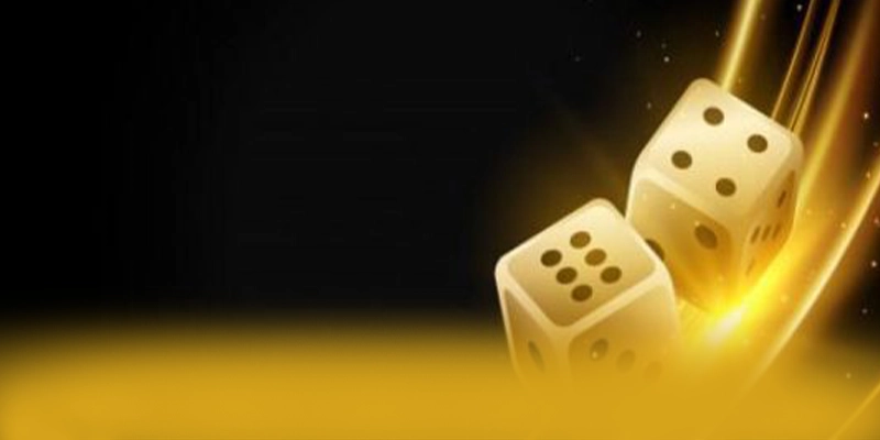 8XBET - Nhà cái sở hữu danh mục sản phẩm toàn diện hiện nay