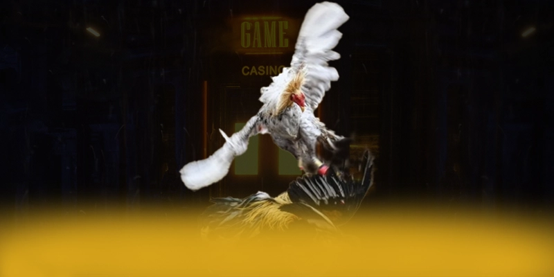 Gioi thieu 8xbet - Cong game bai hang dau Viet Nam tai Viet Nam