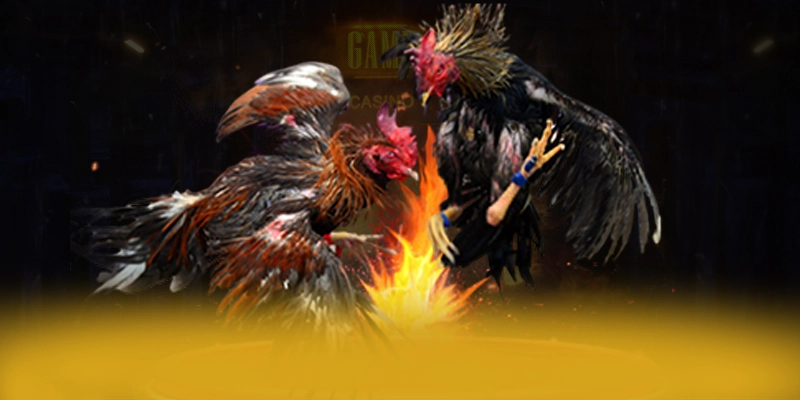 90 phút tv - Cổng thể thao sở hữu hệ thống live betting tốt nhất thị trường 90 phút tv - Cổng thể thao sở hữu hệ thống live betting tốt nhất thị trường